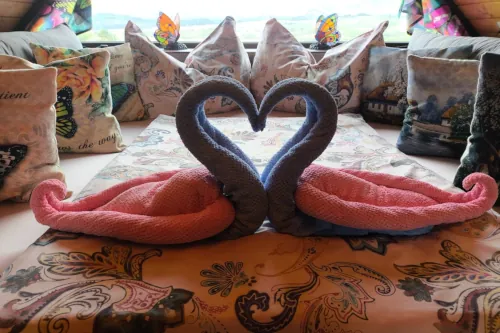 Romantic decoration – swans