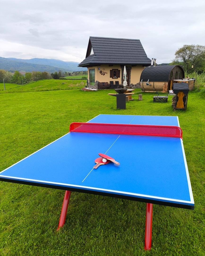 pingpong